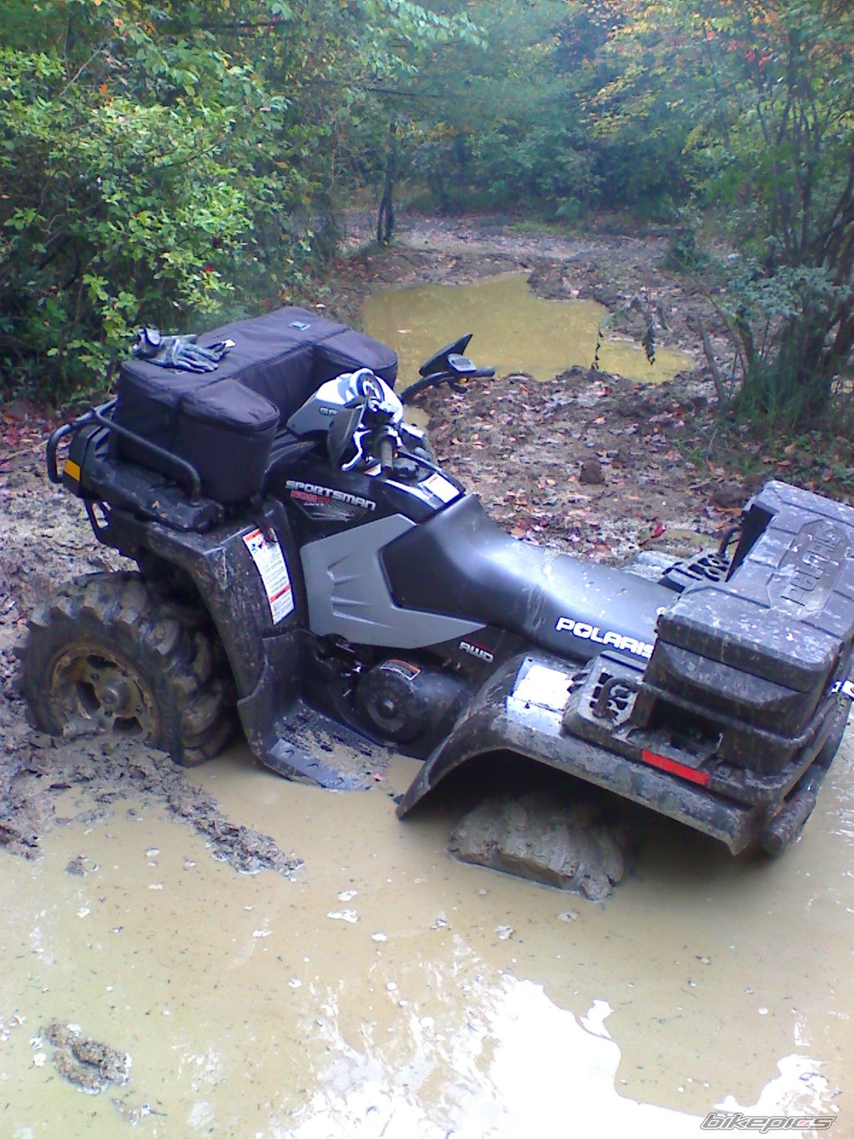 Photo 1445907