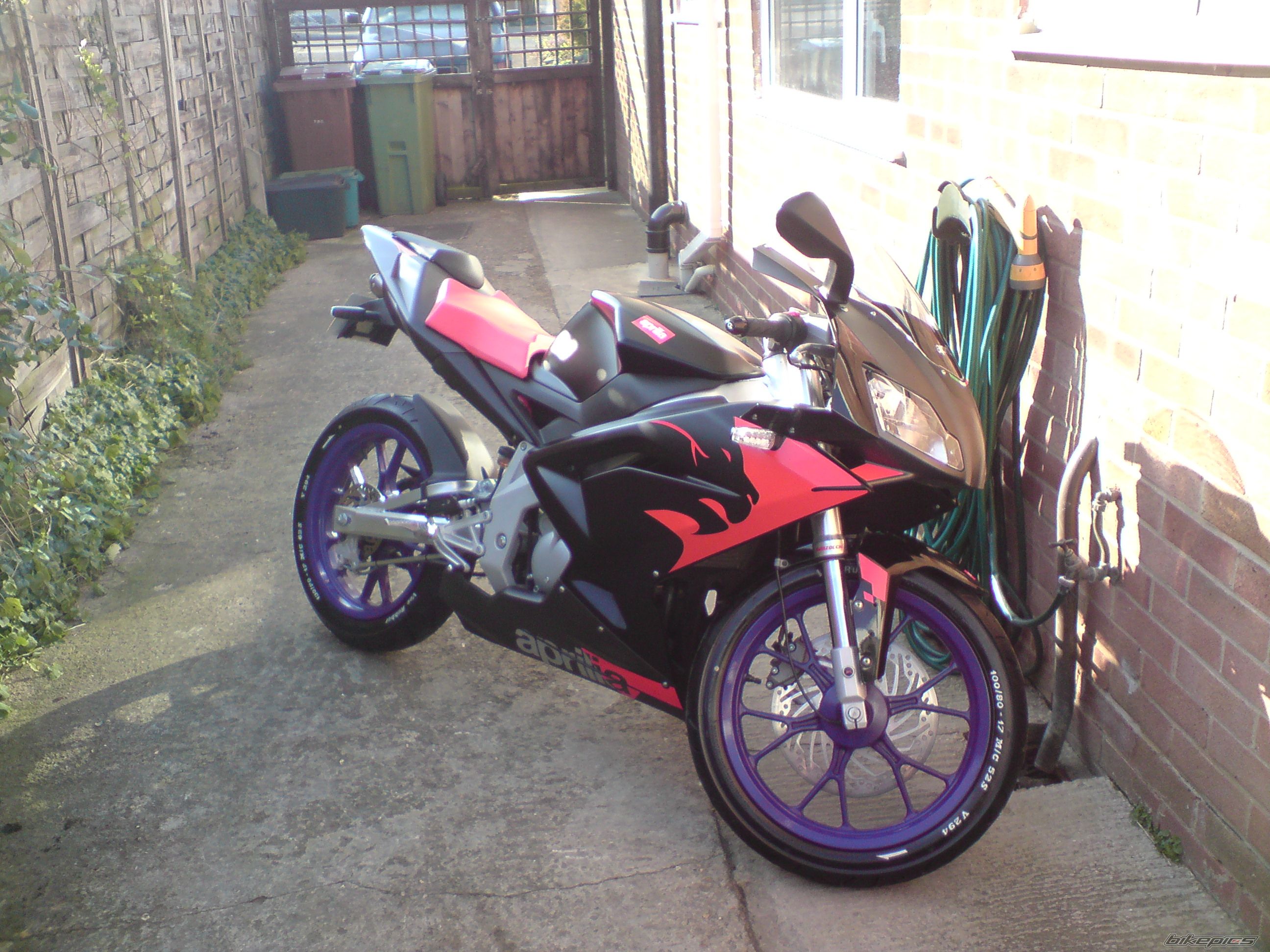 Photo 1445908