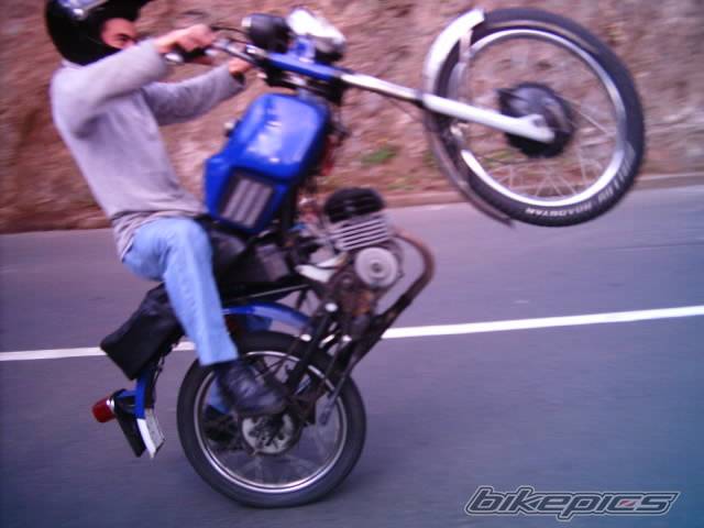 Photo 144591