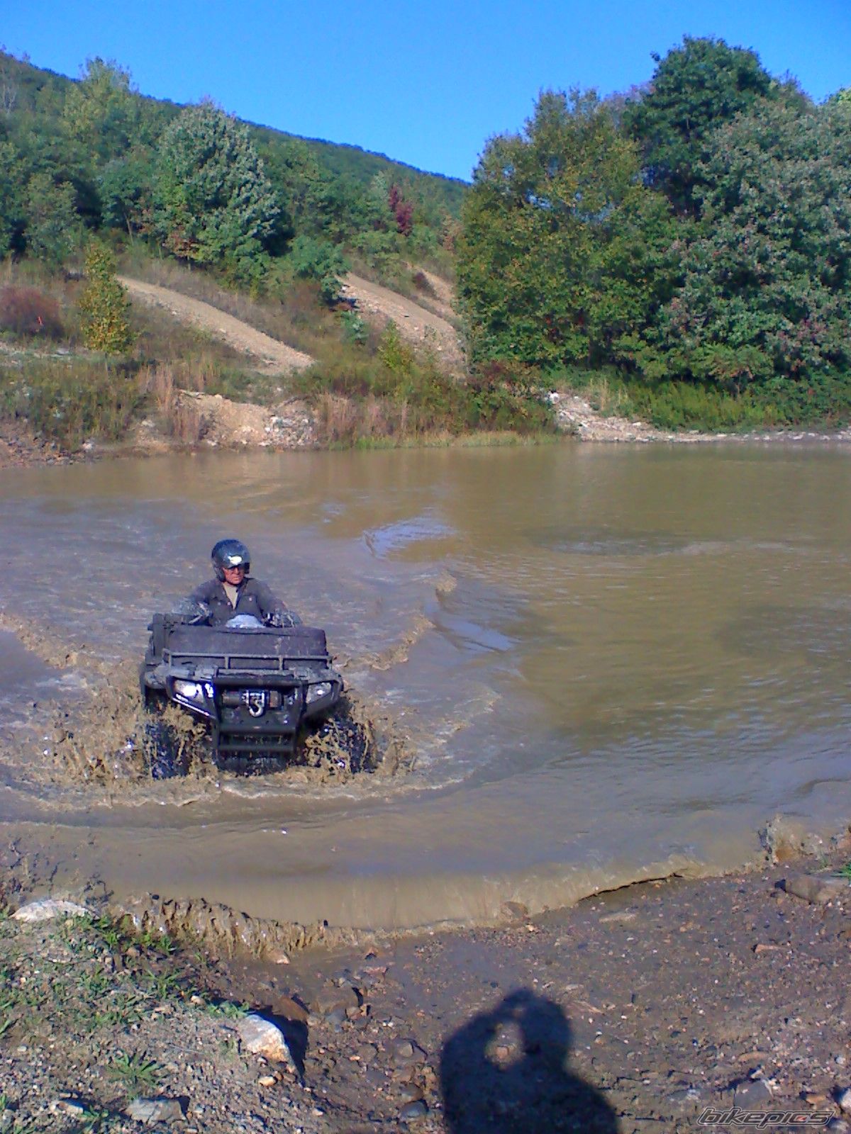 Photo 1445915