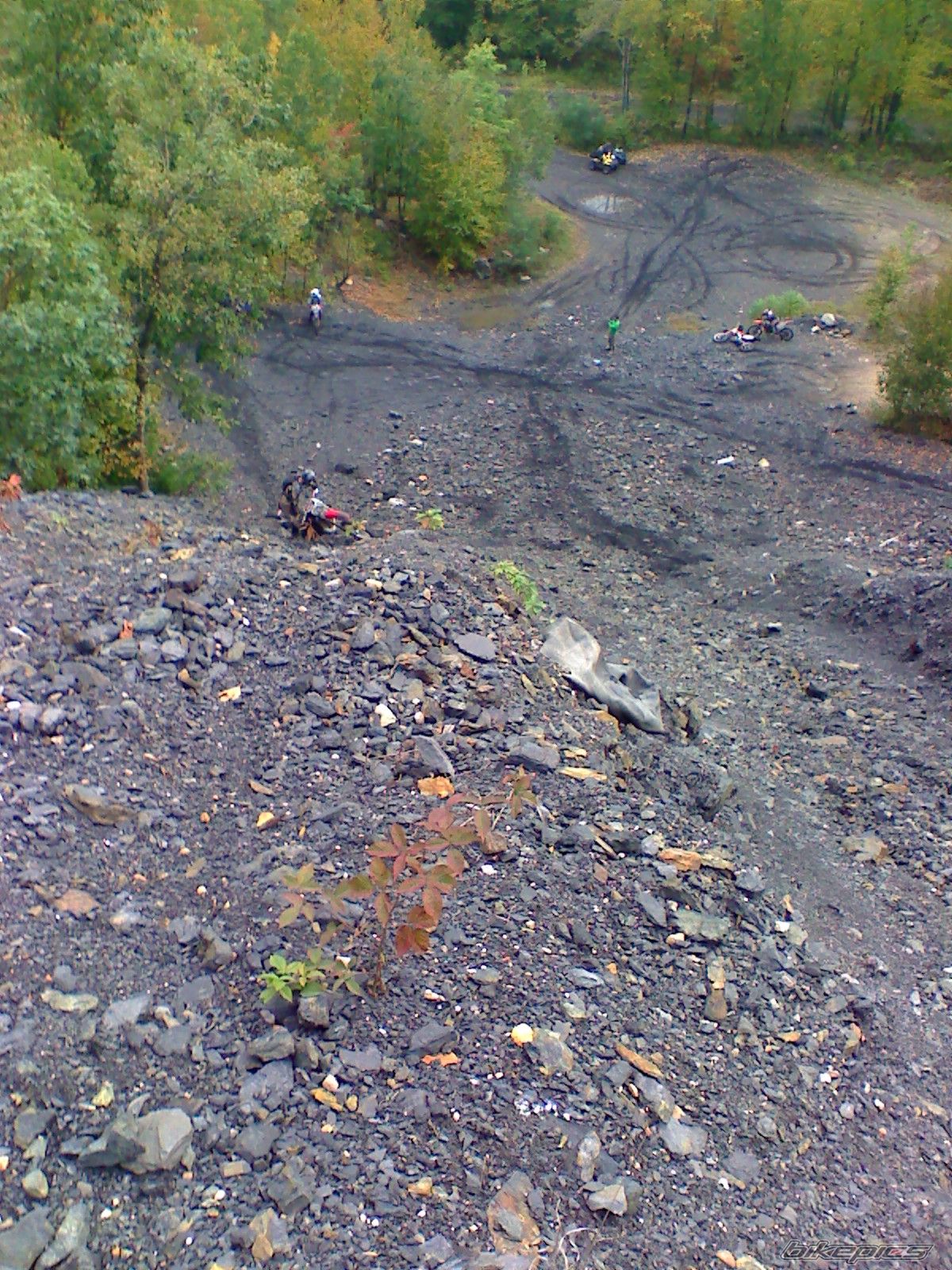 Photo 1445919