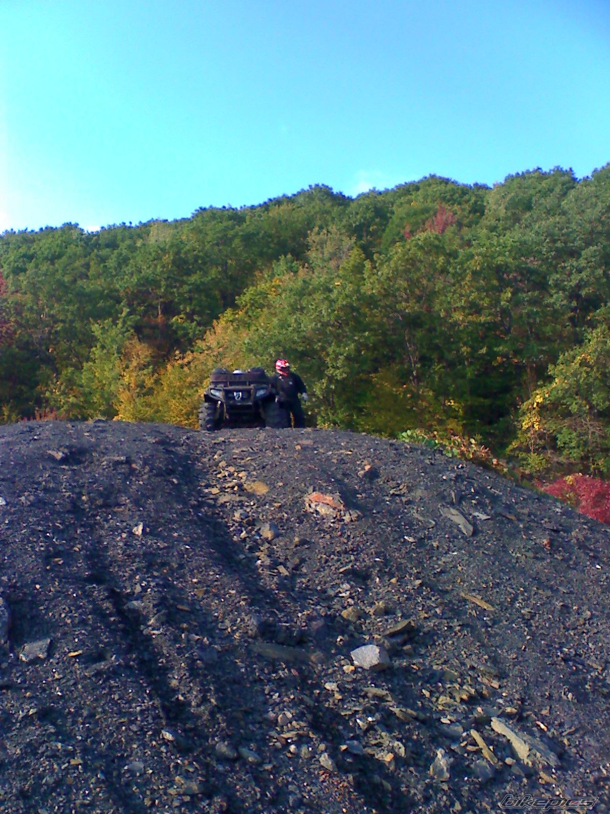 Photo 1445949