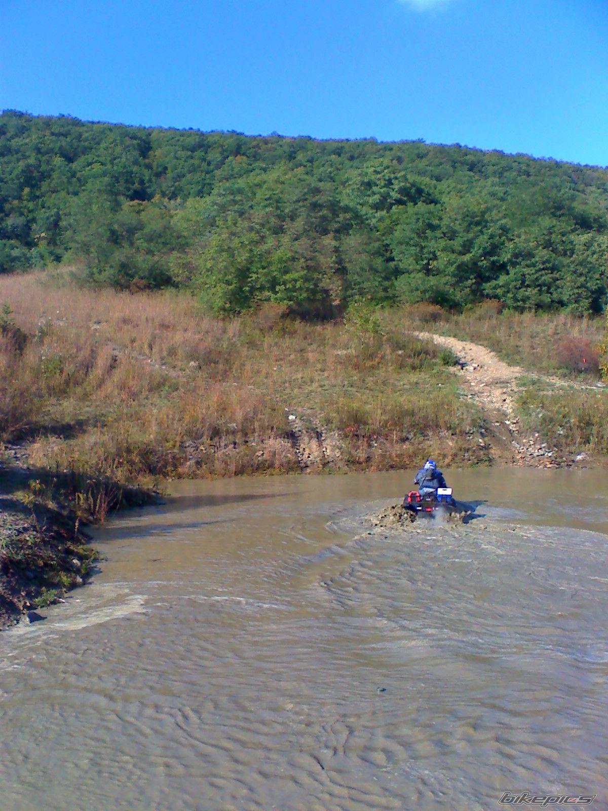 Photo 1445954