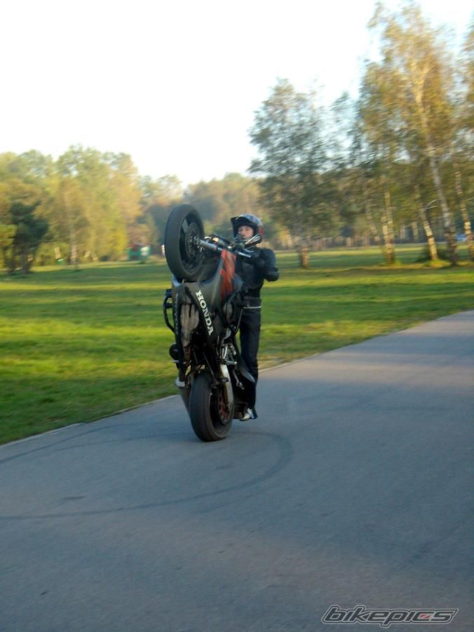 Photo 1445991
