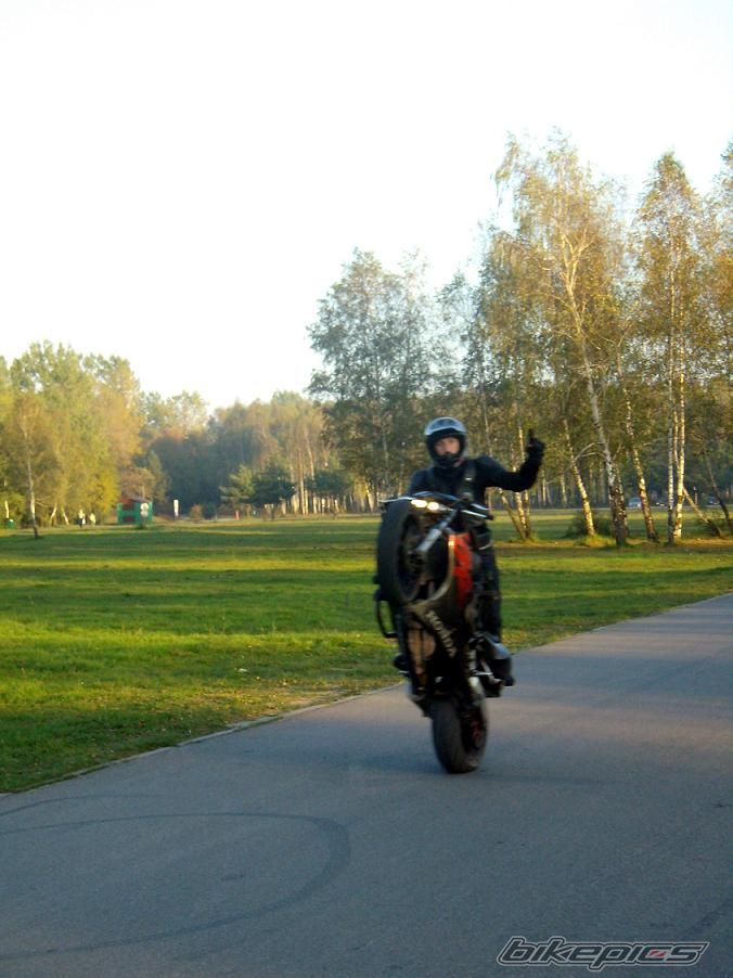 Photo 1445992
