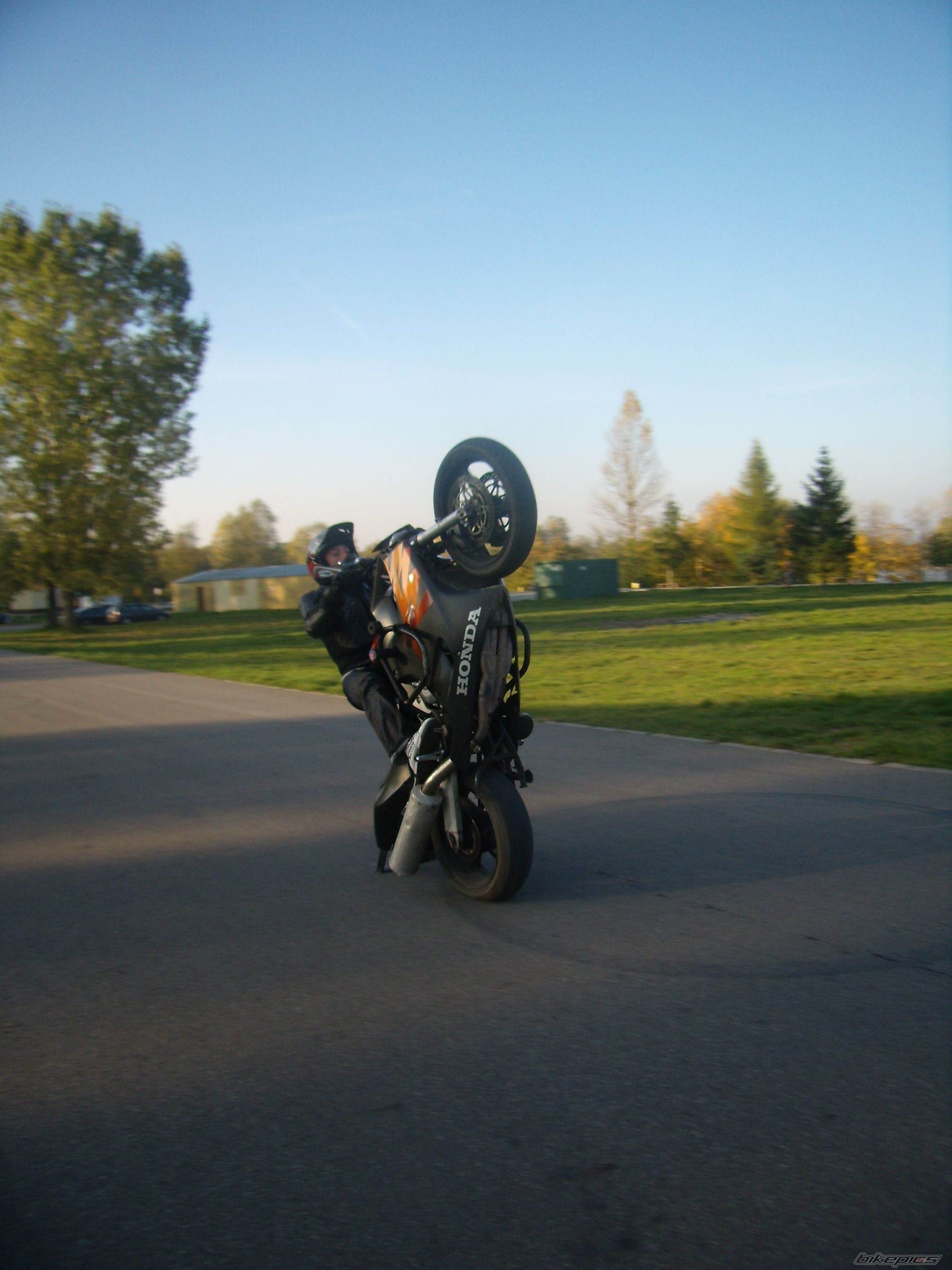 Photo 1445998