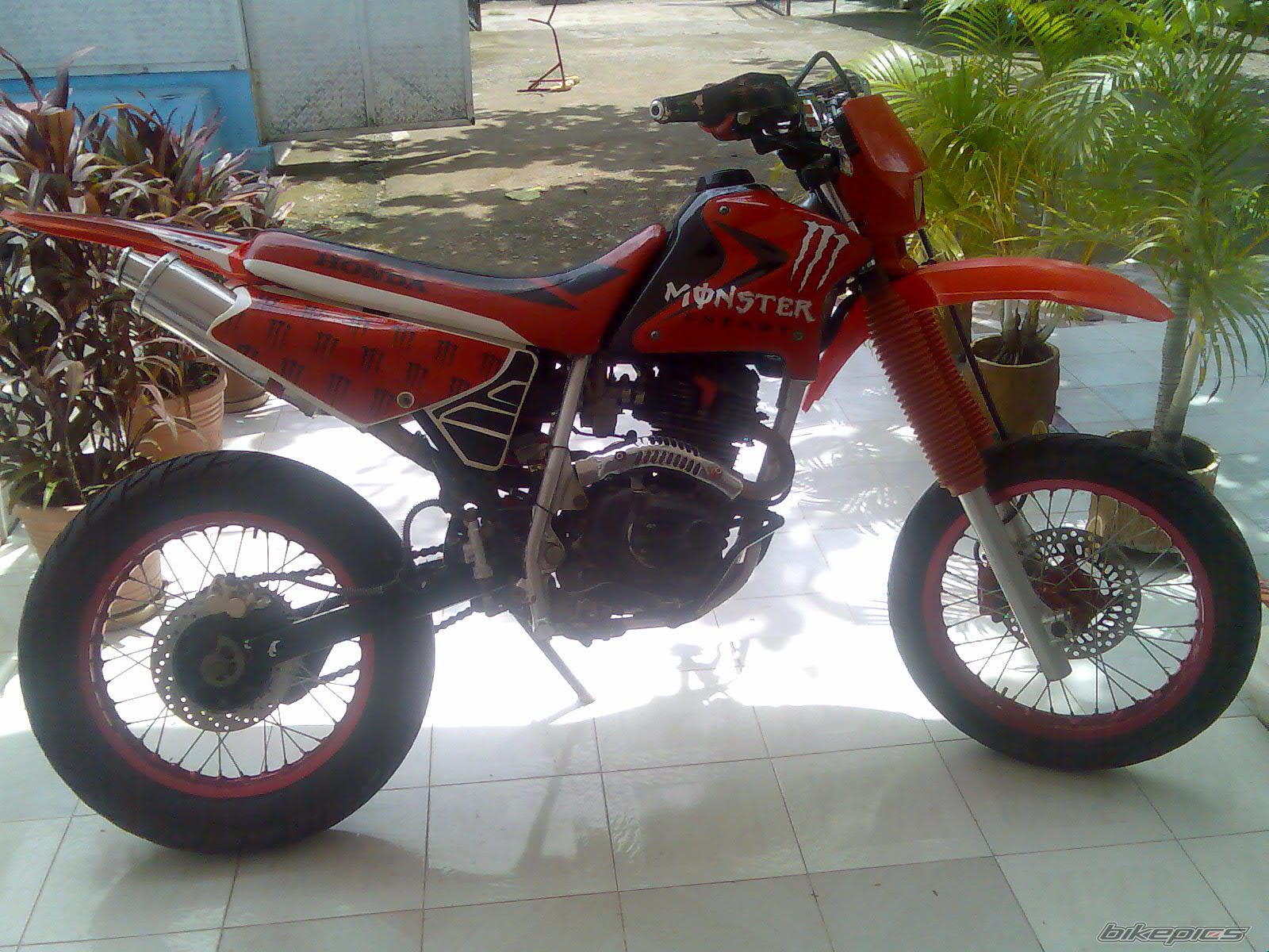 Photo 1446002