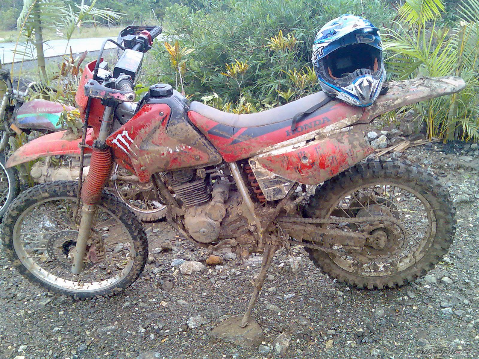Photo 1446004