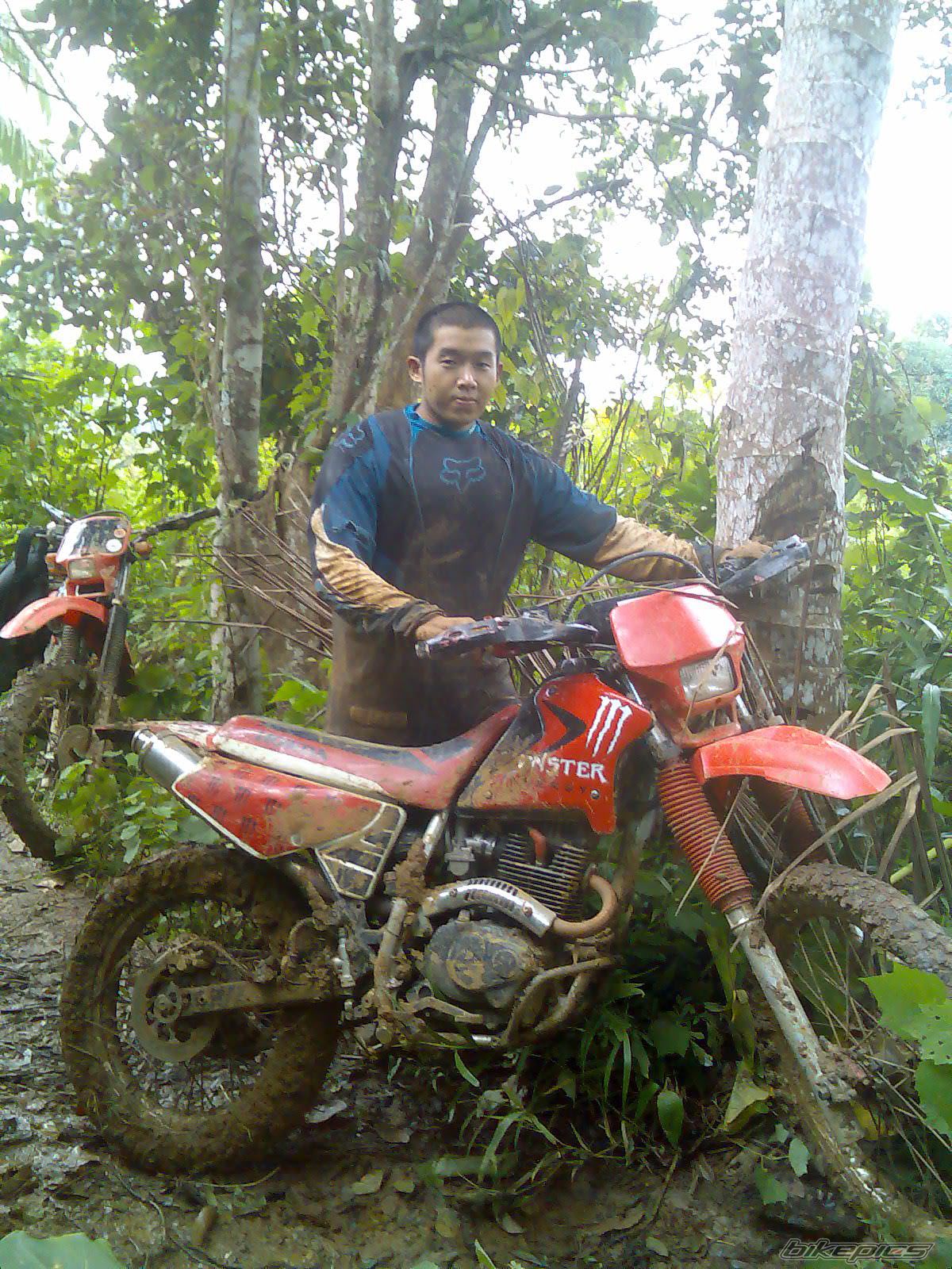 Photo 1446005