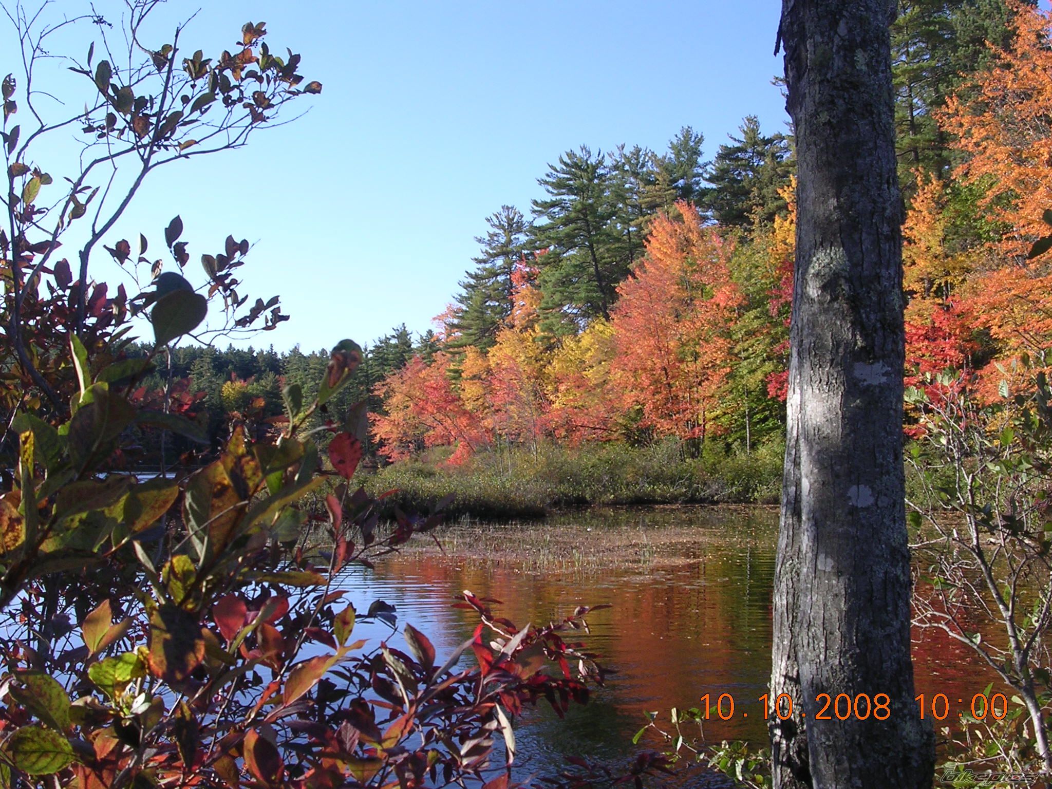 Photo 1446006
