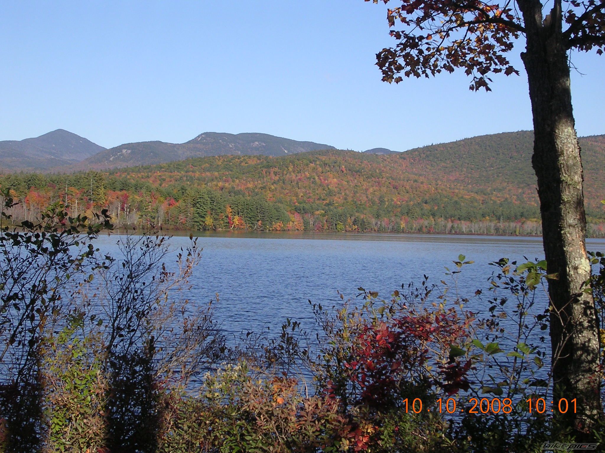 Photo 1446007