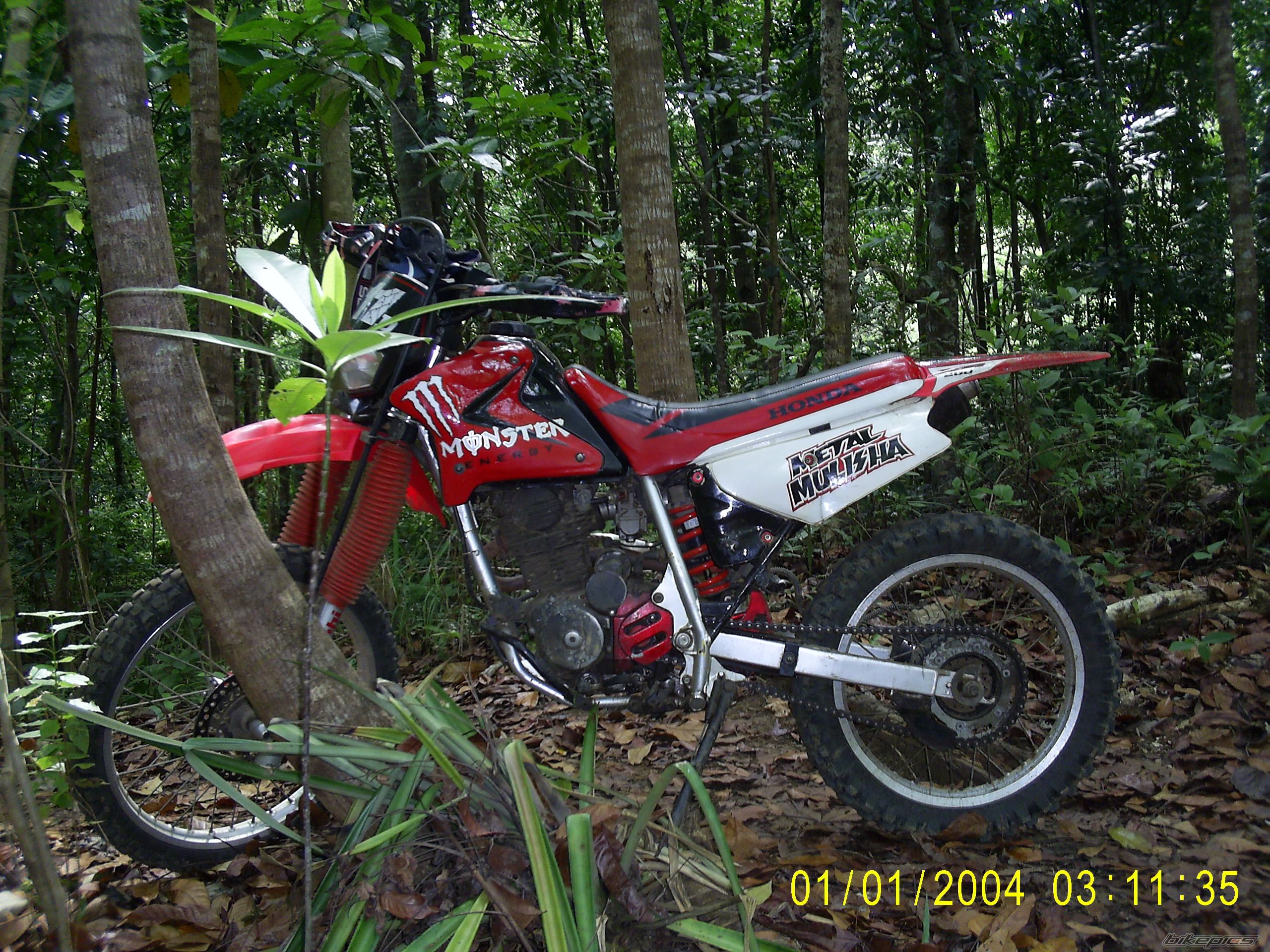 Photo 1446013