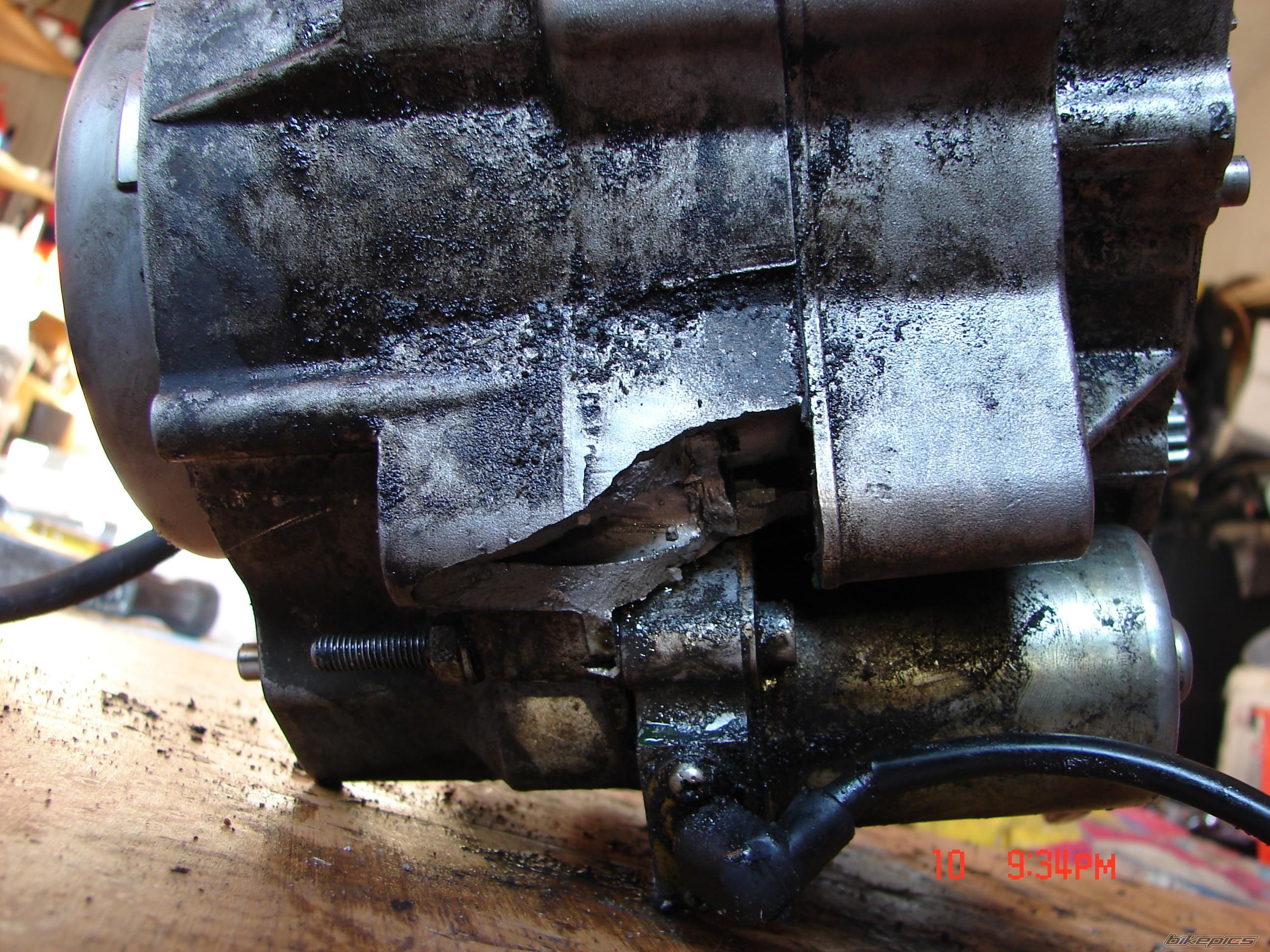 Photo 1446017