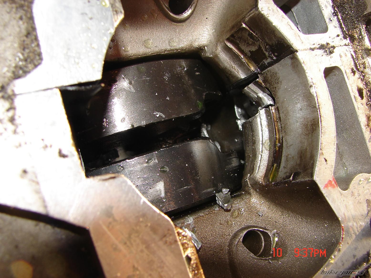 Photo 1446020