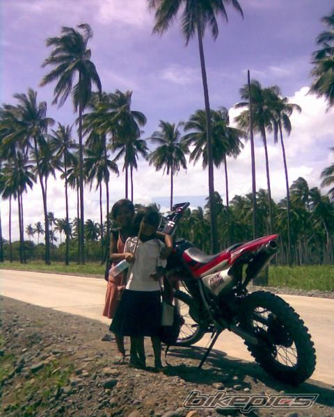 Photo 1446023