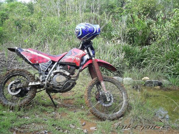 Photo 1446024