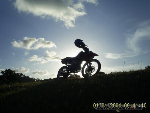 Photo 1446025