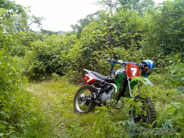 Photo 1446042