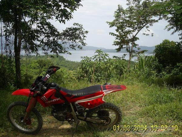 Photo 1446043