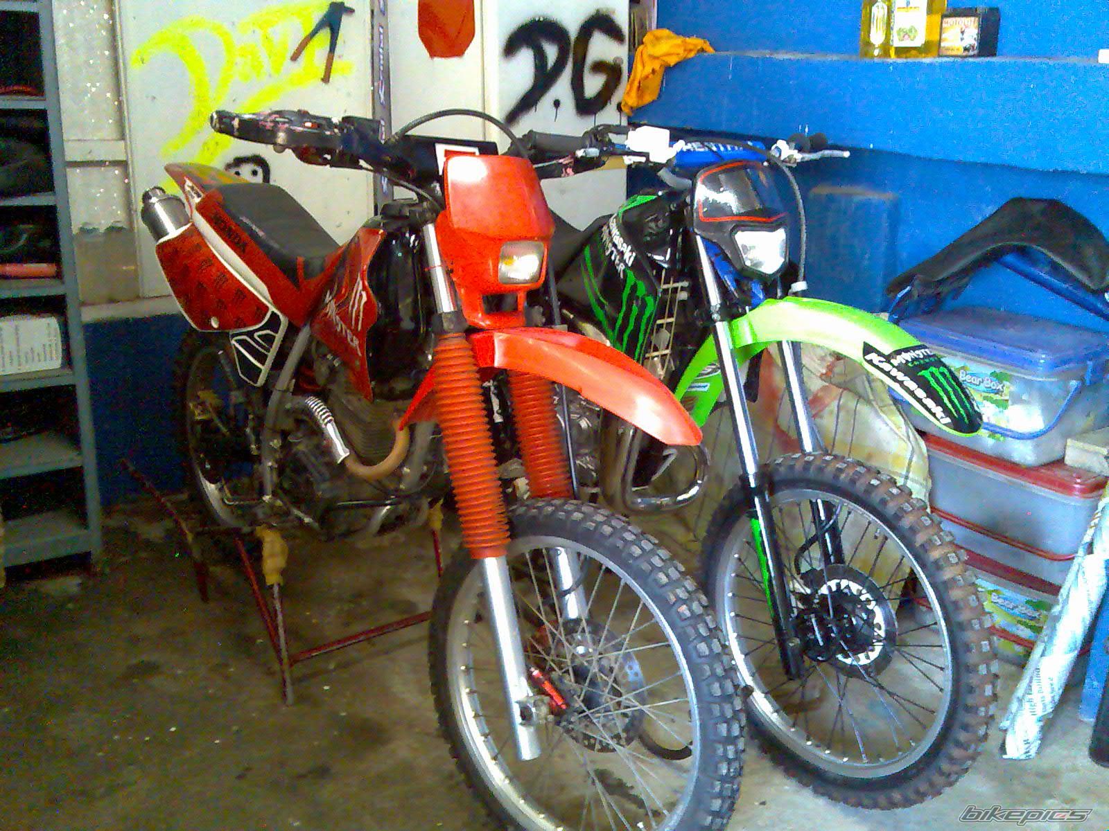 Photo 1446073