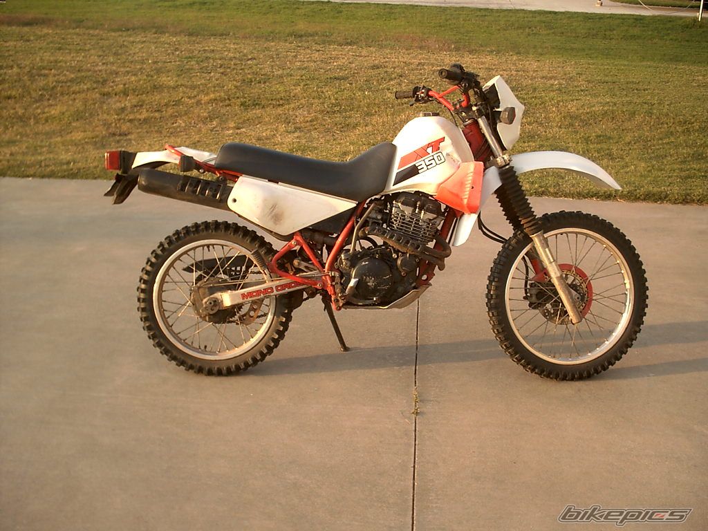 Photo 1446086