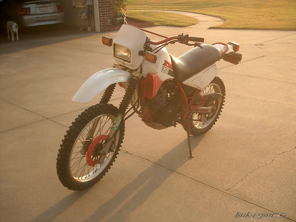 Photo 1446087
