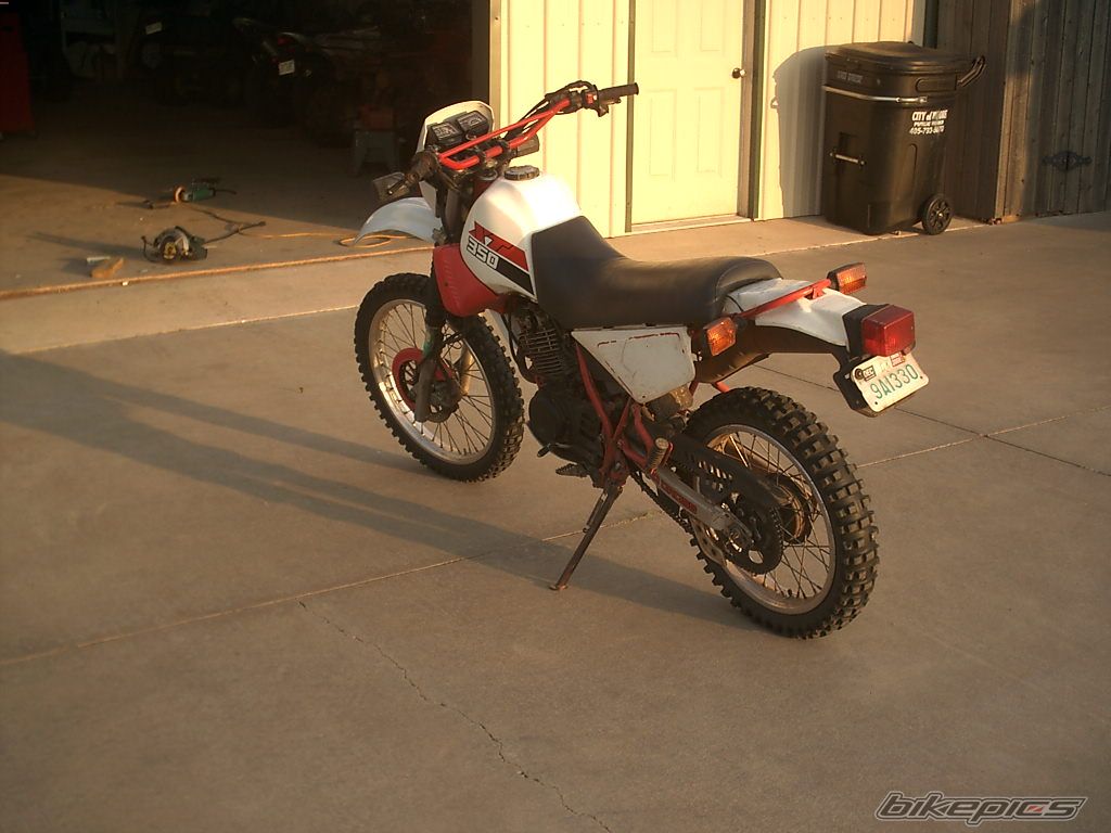 Photo 1446088