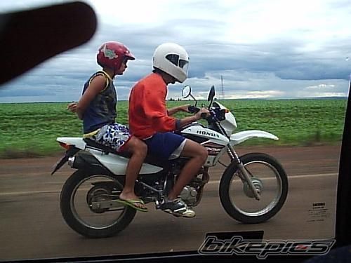 Photo 1446133