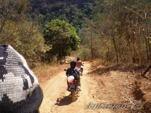Photo 1446149