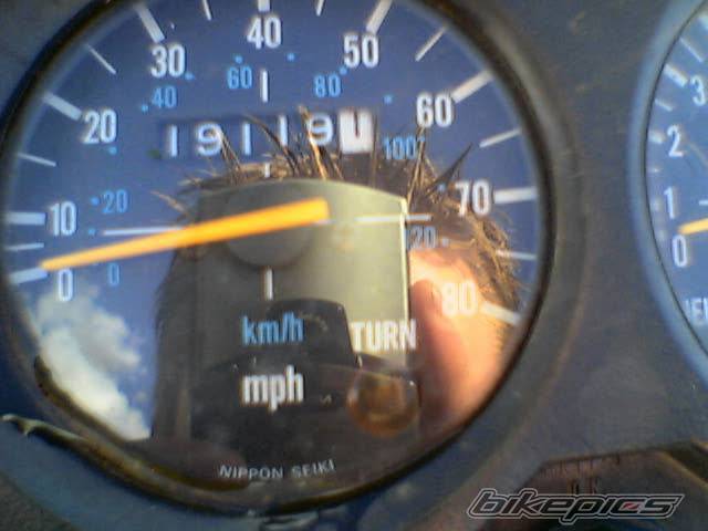 Photo 144615