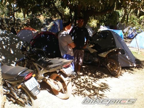 Photo 1446152