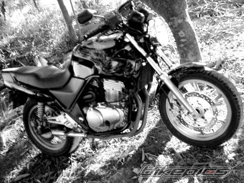 Photo 1446159