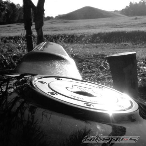Photo 1446161