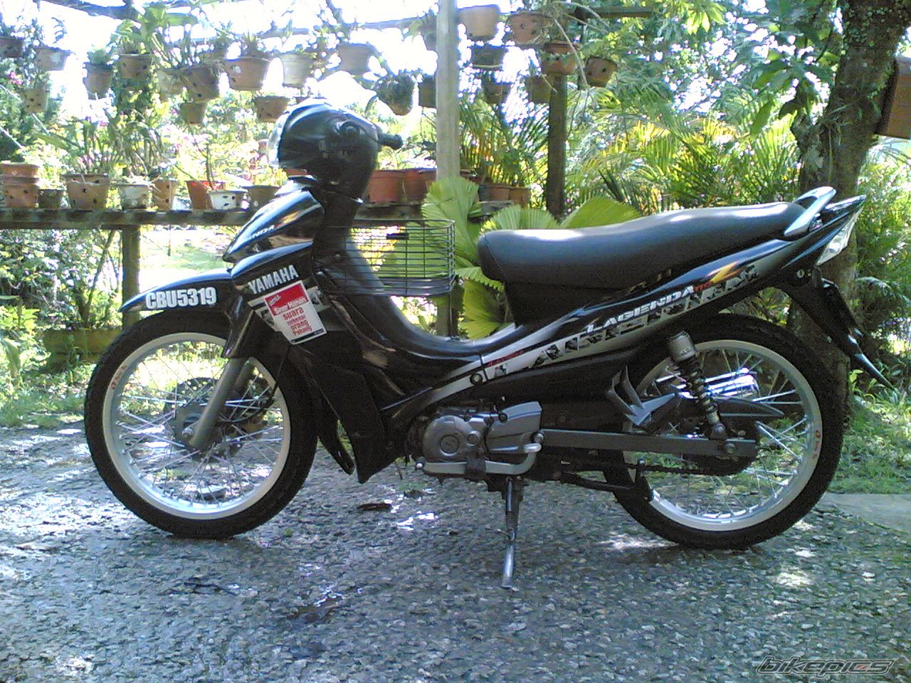 Photo 1446174