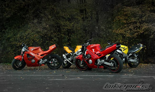 Photo 1446233