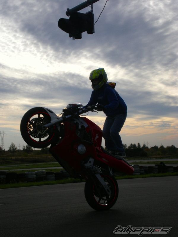 Photo 1446237
