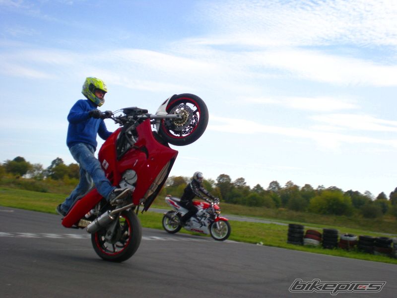 Photo 1446241