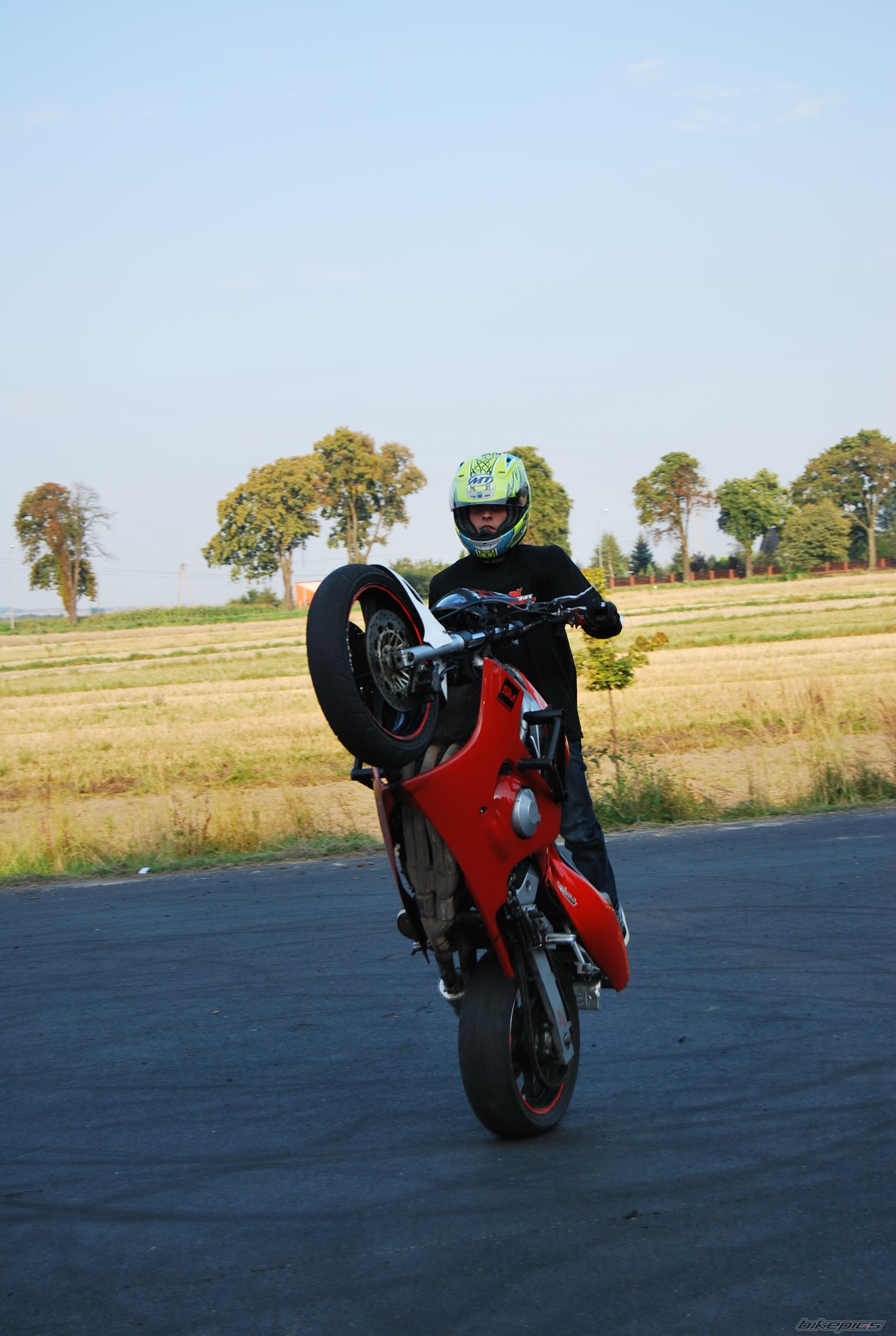 Photo 1446243