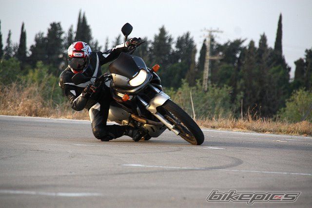 Photo 1446253