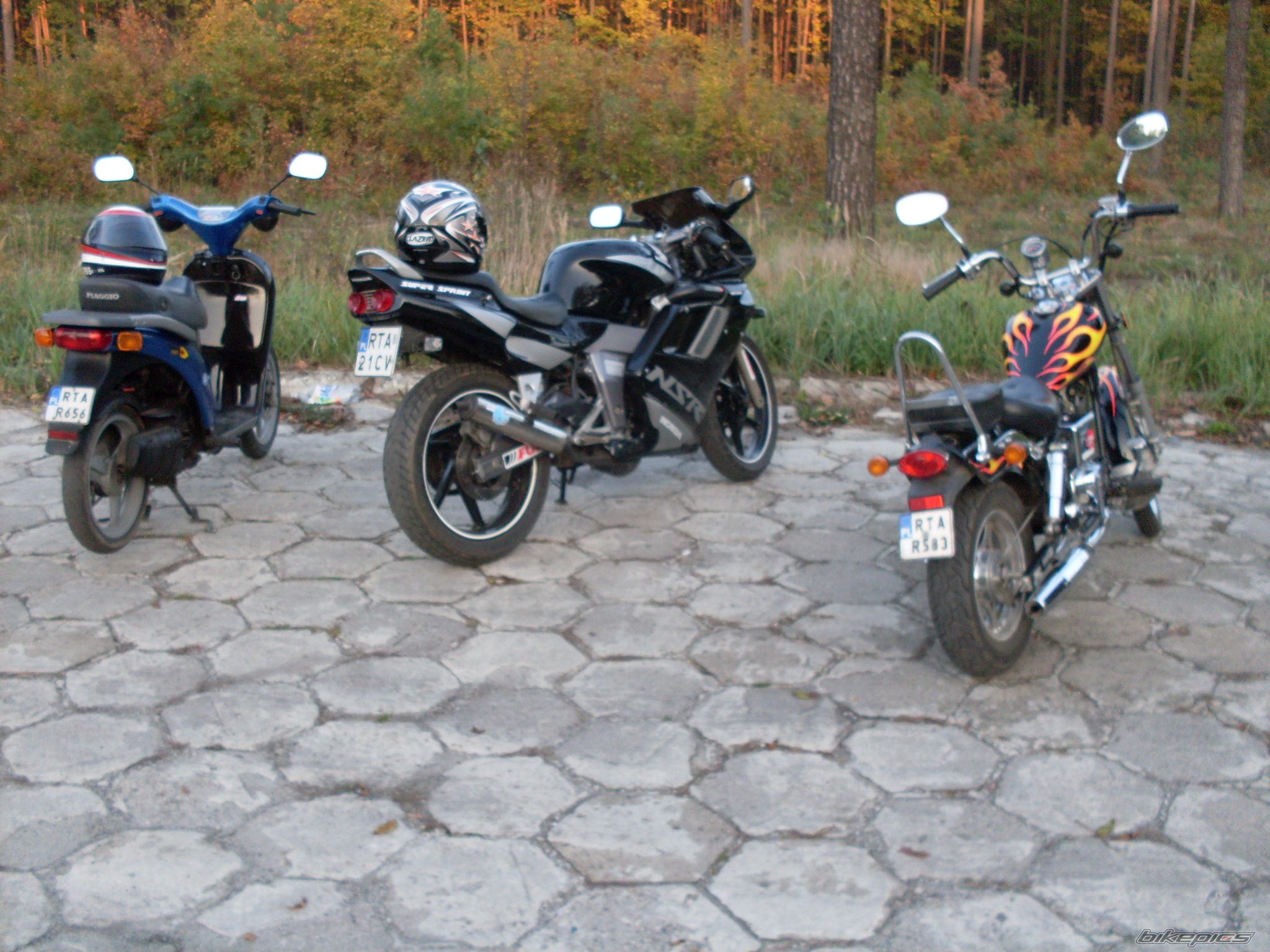 Photo 1446258