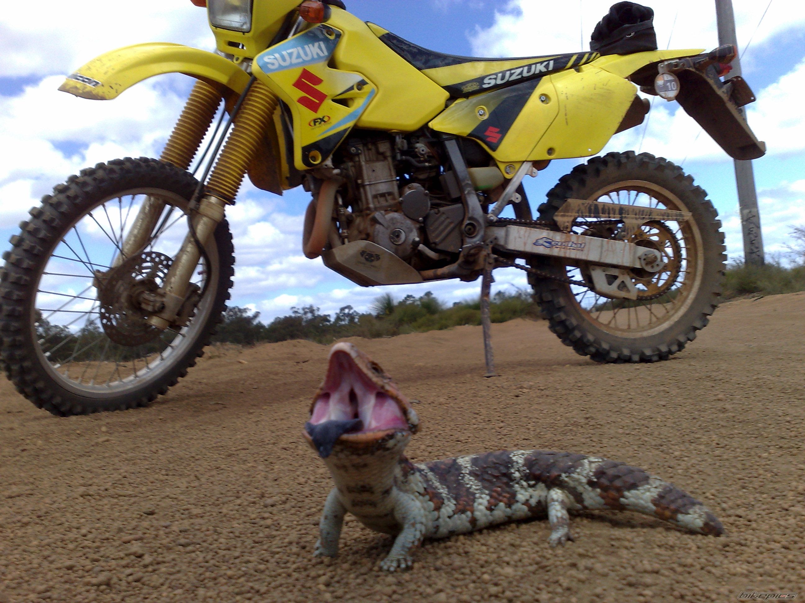 Bike Photo 1446259