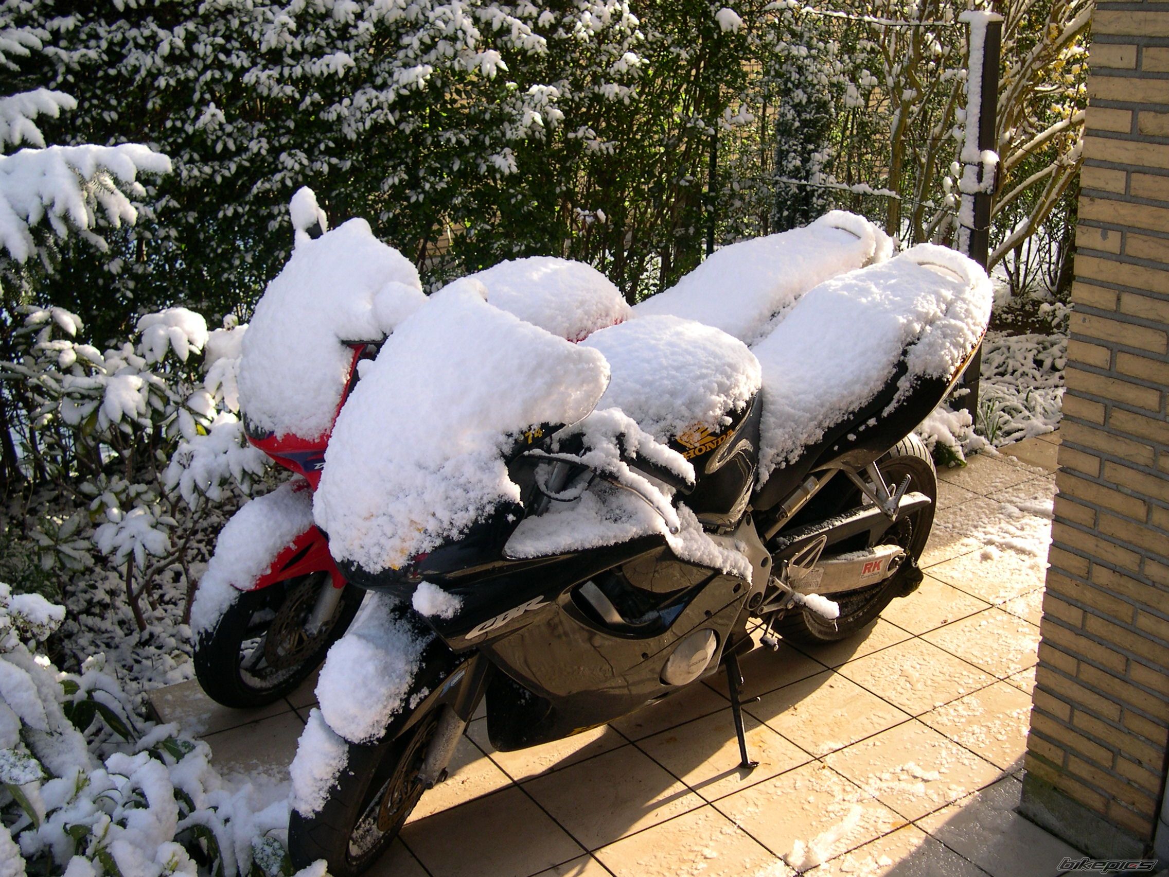 Photo 1446275