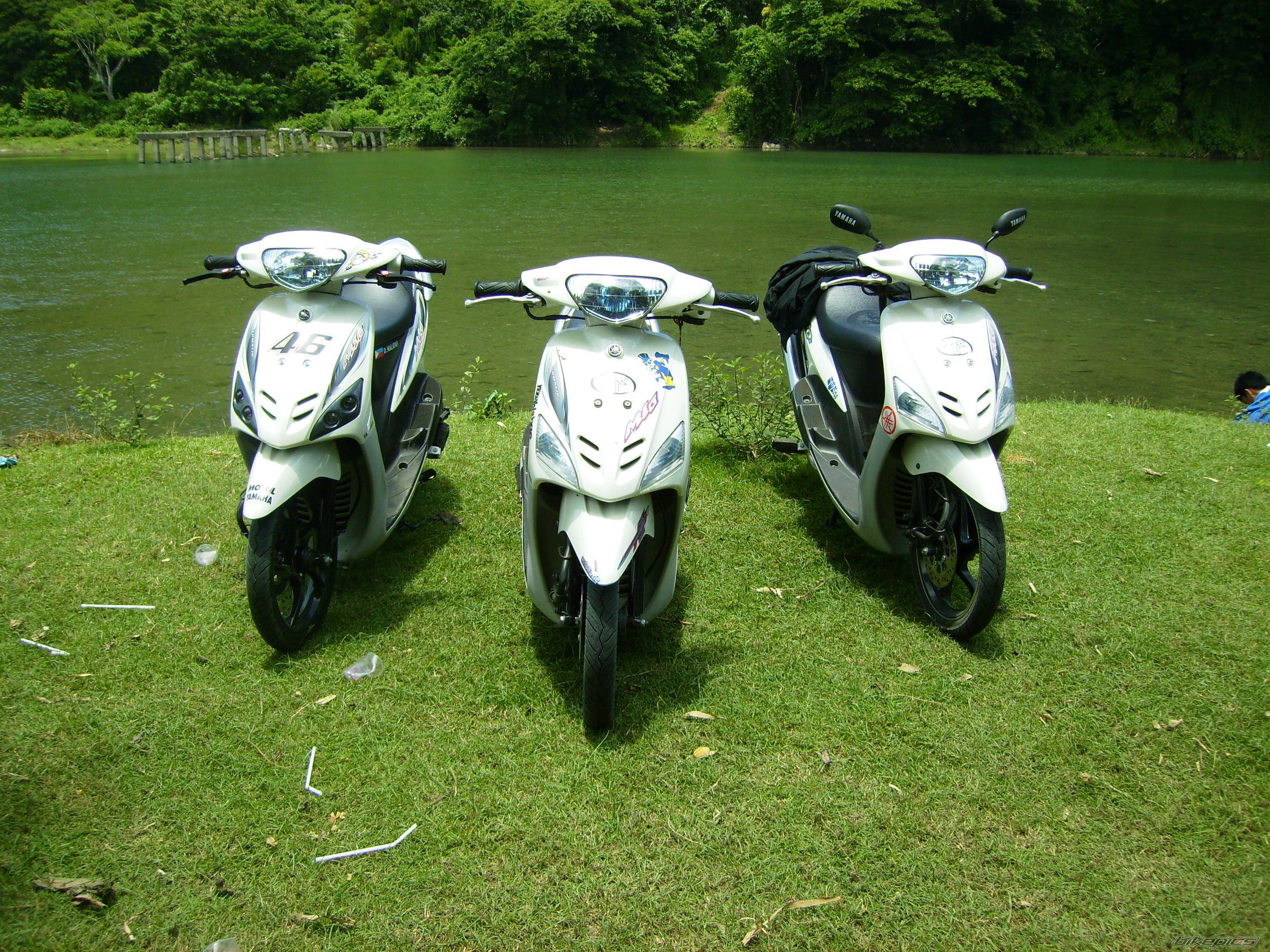 Photo 1446280