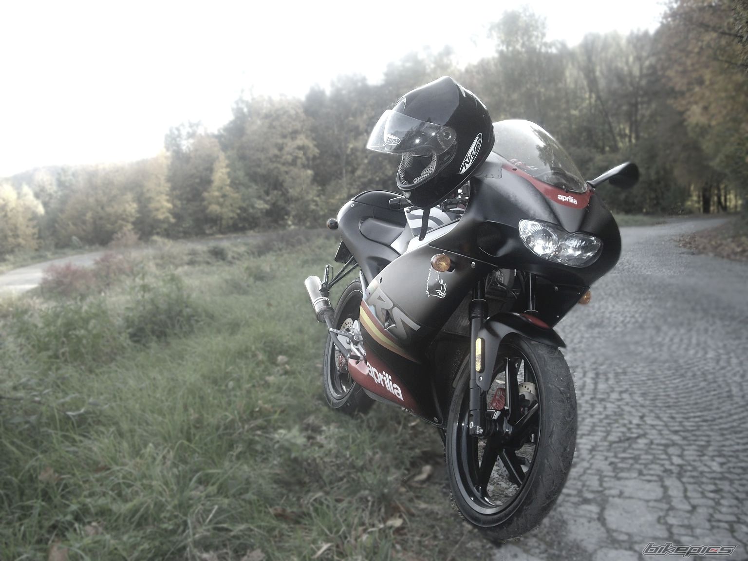 Photo 1446311