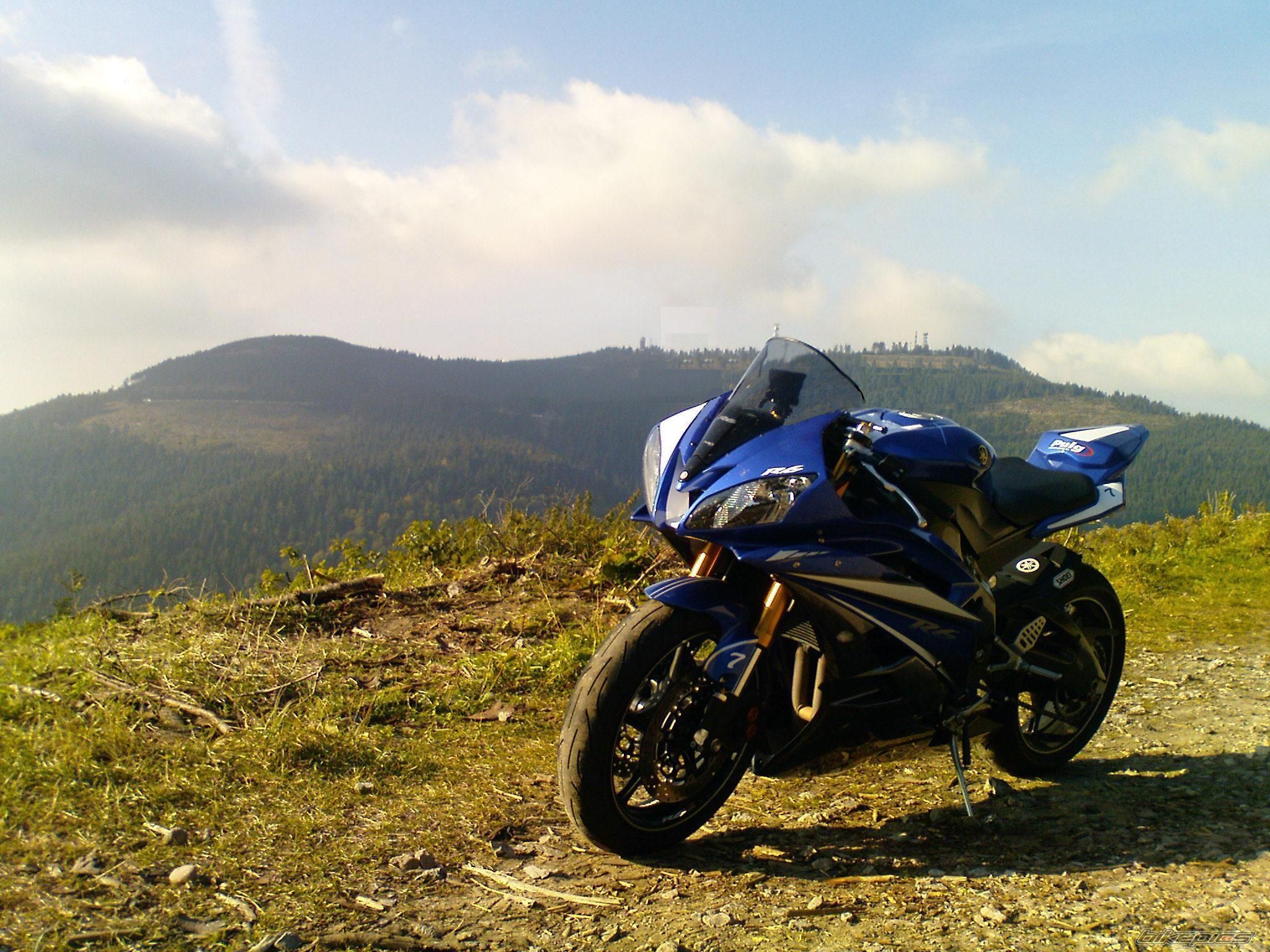 Photo 1446326