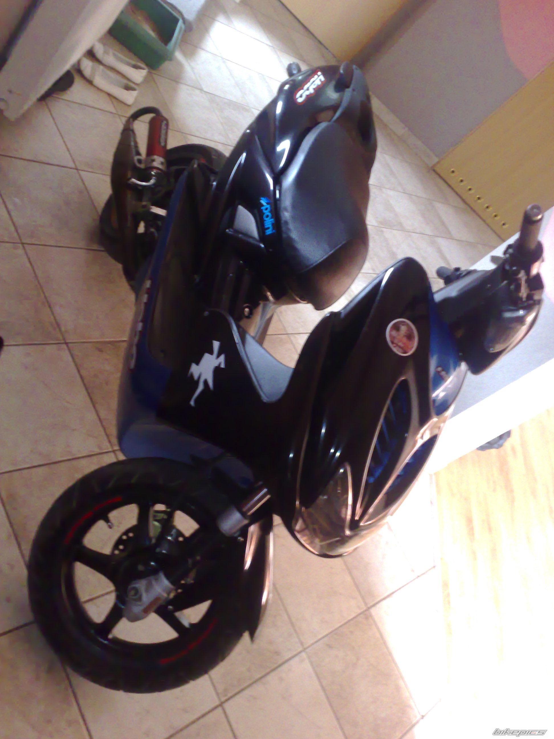 Photo 1446337