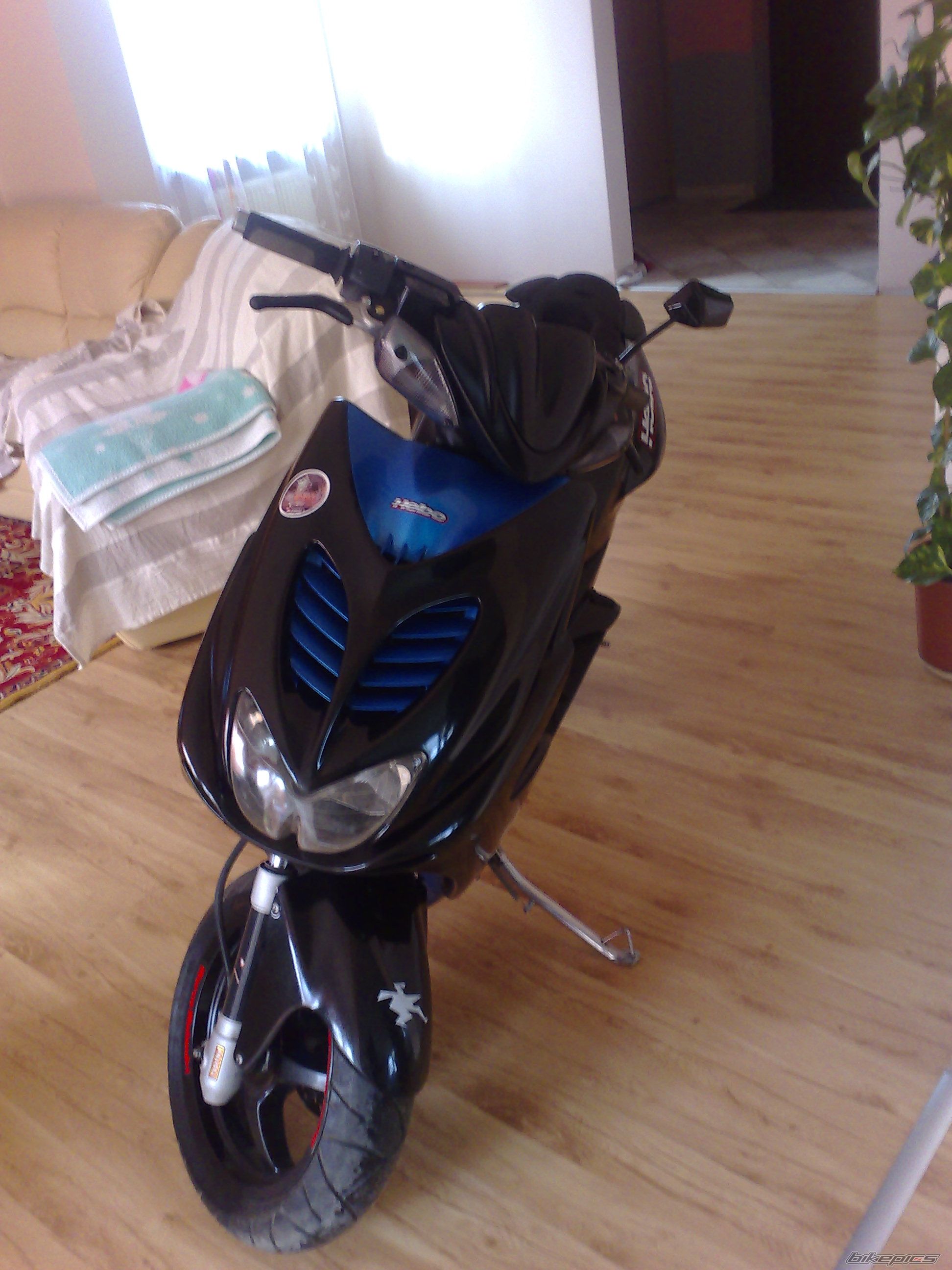 Photo 1446346