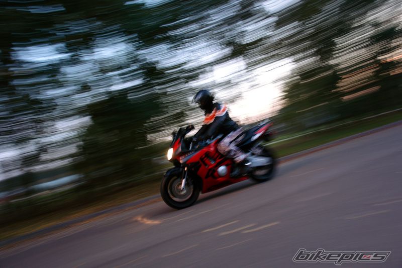 Photo 1446348