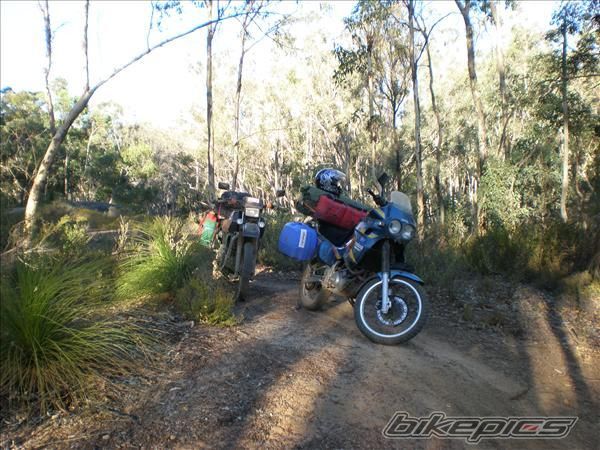 Bike Photo 1446361