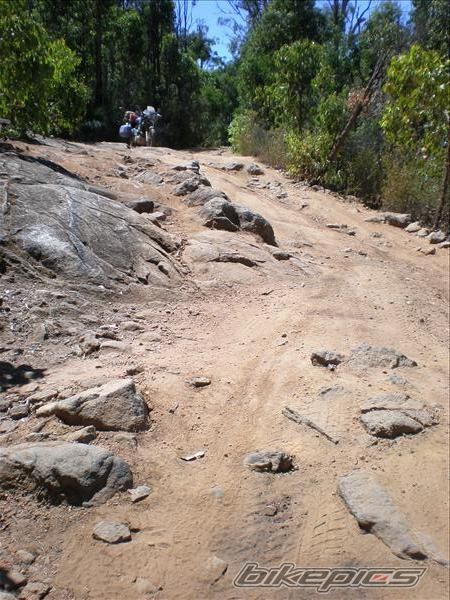 Photo 1446363